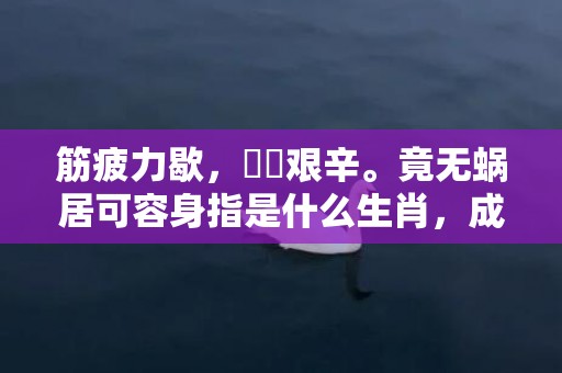 筋疲力歇，備嘗艰辛。竟无蜗居可容身指是什么生肖，成语释义解释落实