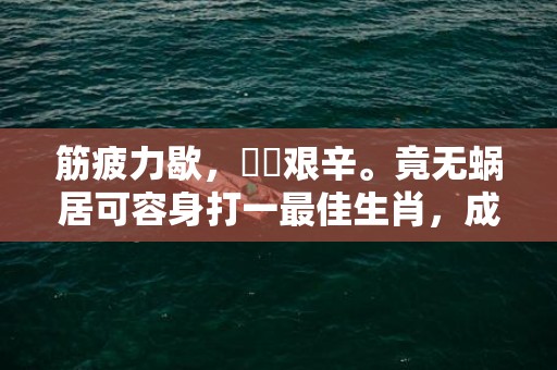 筋疲力歇，備嘗艰辛。竟无蜗居可容身打一最佳生肖，成语释义解释落实插图