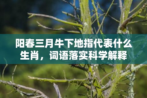 阳春三月牛下地指代表什么生肖，词语落实科学解释插图