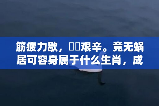 筋疲力歇，備嘗艰辛。竟无蜗居可容身属于什么生肖，成语释义解释落实插图