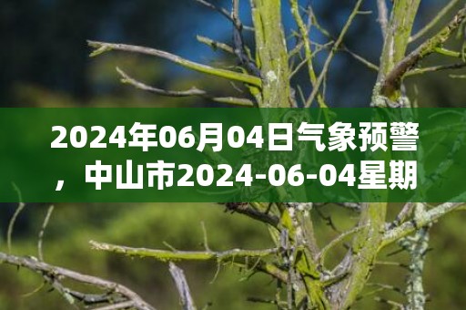 2024年06月04日气象预警，中山市2024-06-04星期二暴雨最高气温28℃