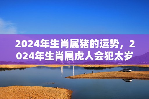 2024年生肖属猪的运势，2024年生肖属虎人会犯太岁吗