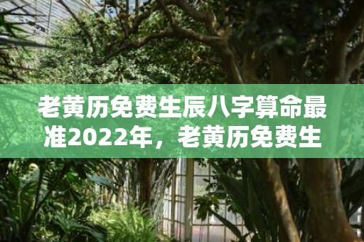 老黄历免费生辰八字算命最准2022年，老黄历免费生辰八字算命最准