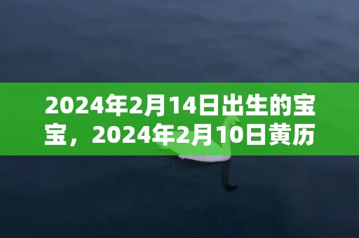 2024年2月14日出生的宝宝，2024年2月10日黄历查询