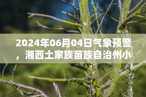 2024年06月04日气象预警，湘西土家族苗族自治州小雨最高气温21度