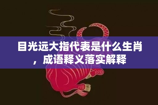 目光远大指代表是什么生肖，成语释义落实解释