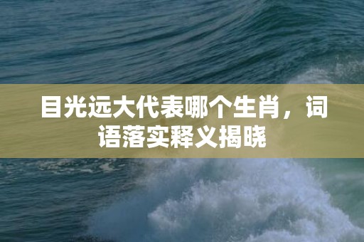 目光远大代表哪个生肖，词语落实释义揭晓