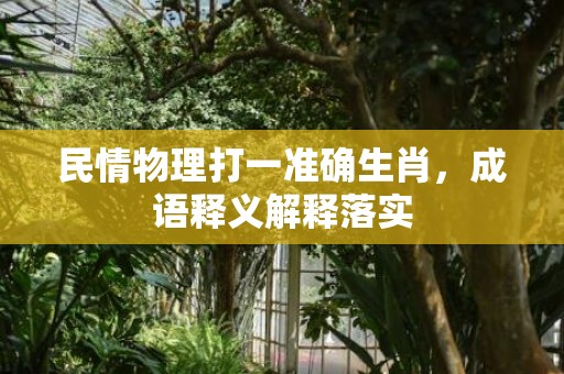 民情物理打一准确生肖，成语释义解释落实