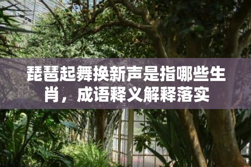 琵琶起舞换新声是指哪些生肖，成语释义解释落实