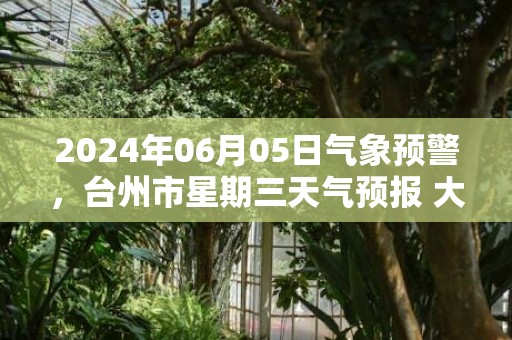 2024年06月05日气象预警，台州市星期三天气预报 大部小雨转中雨