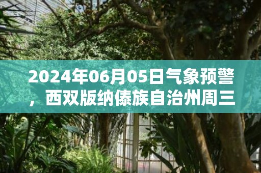 2024年06月05日气象预警，西双版纳傣族自治州周三小雨转中雨最高温度33℃