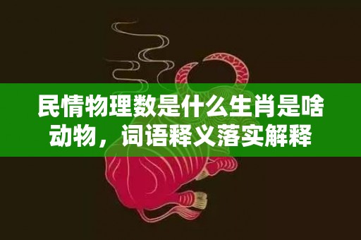 民情物理数是什么生肖是啥动物，词语释义落实解释插图