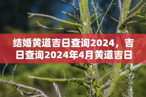 结婚黄道吉日查询2024，吉日查询2024年4月黄道吉日