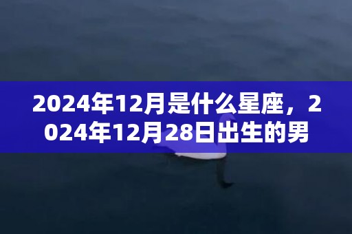 2024年12月是什么星座，2024年12月28日出生的男生命运精析