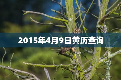 2015年4月9日黄历查询