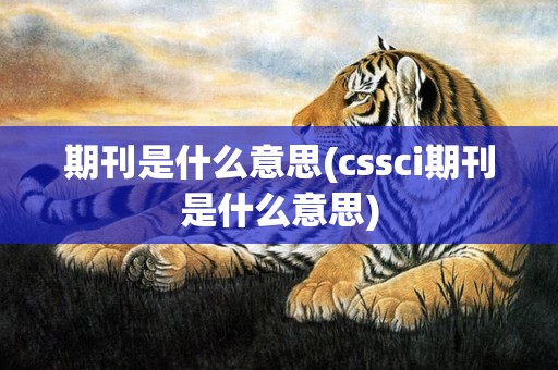 期刊是什么意思(cssci期刊是什么意思)