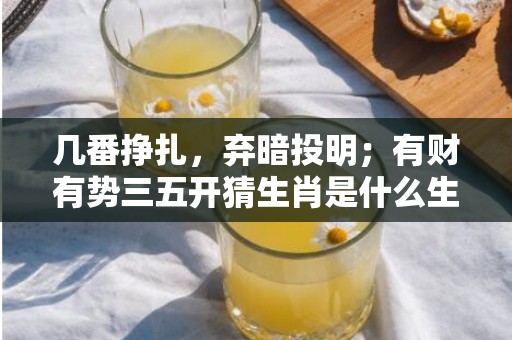 几番挣扎，弃暗投明；有财有势三五开猜生肖是什么生肖，词语释义落实解释插图