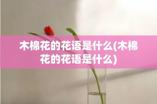 木棉花的花语是什么(木棉花的花语是什么)