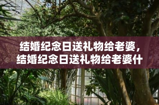 结婚纪念日送礼物给老婆，结婚纪念日送礼物给老婆什么比较好，结婚纪念日感言精辟句子