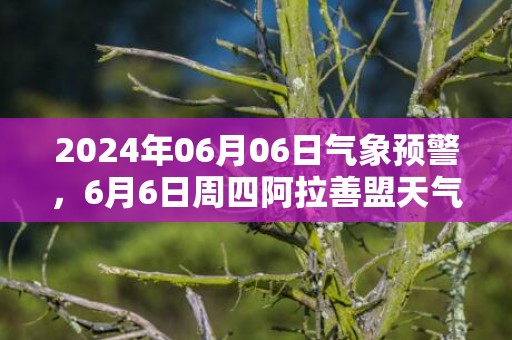 2024年06月06日气象预警，6月6日周四阿拉善盟天气预报 大部小雨转多云