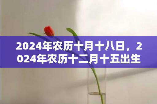 2024年农历十月十八日，2024年农历十二月十五出生的女孩子的命运如何