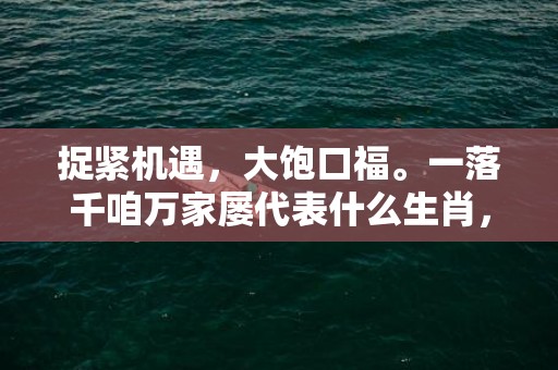 捉紧机遇，大饱口福。一落千咱万家屡代表什么生肖，成语释义解释落实插图