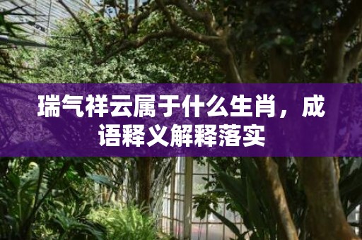 瑞气祥云属于什么生肖，成语释义解释落实