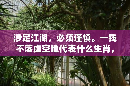 涉足江湖，必须谨慎。一钱不落虚空地代表什么生肖，成语释义解释落实插图