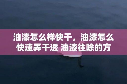 油漆怎么样快干，油漆怎么快速弄干透 油漆往除的方式有哪些