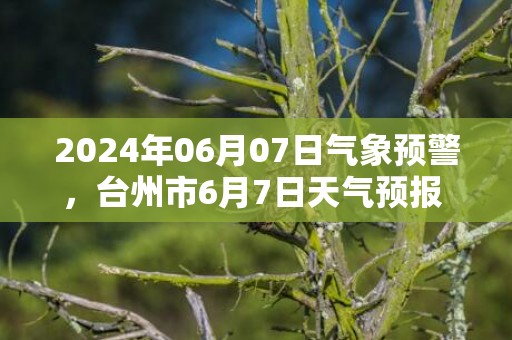 2024年06月07日气象预警，台州市6月7日天气预报 大部小雨转多云