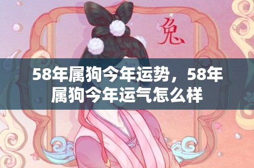 58年属狗今年运势，58年属狗今年运气怎么样