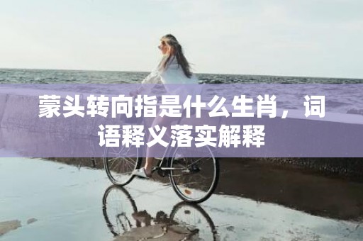 蒙头转向指是什么生肖，词语释义落实解释