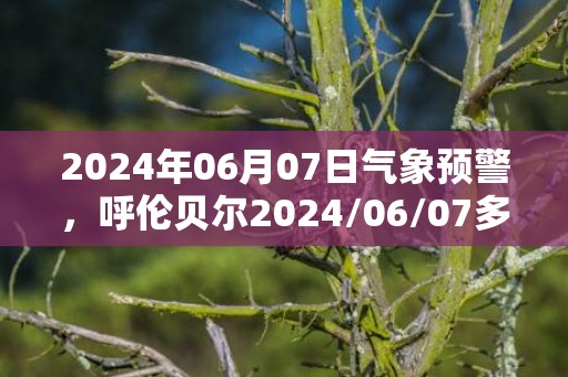 2024年06月07日气象预警，呼伦贝尔2024/06/07多云最高气温28℃