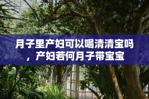 月子里产妇可以喝清清宝吗，产妇若何月子带宝宝