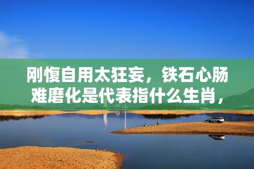 刚愎自用太狂妄，铁石心肠难磨化是代表指什么生肖，成语解释落实释义插图