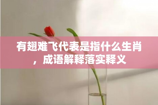 有翅难飞代表是指什么生肖，成语解释落实释义