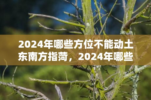 2024年哪些方位不能动土东南方指菏，2024年哪些方位可以动土