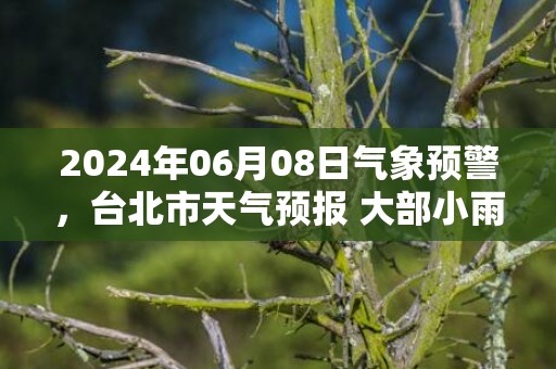 2024年06月08日气象预警，台北市天气预报 大部小雨转多云