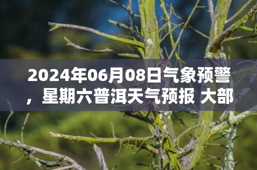 2024年06月08日气象预警，星期六普洱天气预报 大部小雨