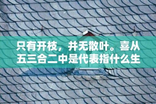 只有开枝，并无散叶。喜从五三合二中是代表指什么生肖，成语释义解释落实插图