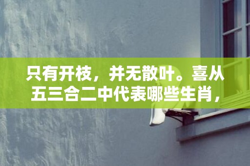 只有开枝，并无散叶。喜从五三合二中代表哪些生肖，成语释义解释落实插图