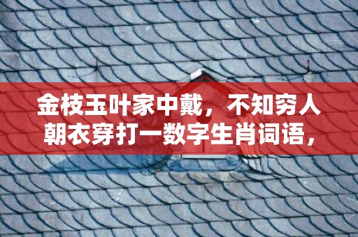 金枝玉叶家中戴，不知穷人朝衣穿打一数字生肖词语，成语释义解释落实插图