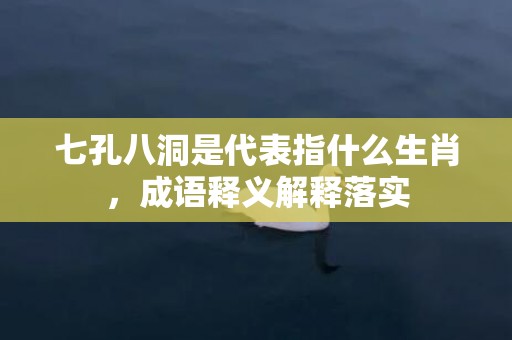 七孔八洞是代表指什么生肖，成语释义解释落实