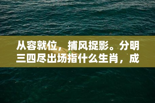 从容就位，捕风捉影。分明三四尽出场指什么生肖，成语释义解释落实插图