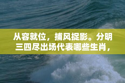 从容就位，捕风捉影。分明三四尽出场代表哪些生肖，成语释义解释落实