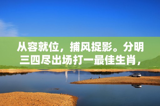 从容就位，捕风捉影。分明三四尽出场打一最佳生肖，成语释义解释落实插图