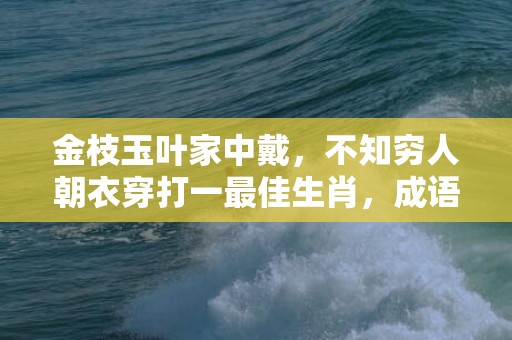 金枝玉叶家中戴，不知穷人朝衣穿打一最佳生肖，成语释义解释落实插图