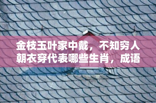 金枝玉叶家中戴，不知穷人朝衣穿代表哪些生肖，成语释义解释落实