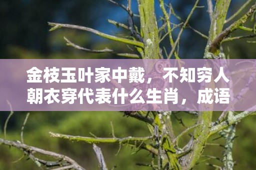 金枝玉叶家中戴，不知穷人朝衣穿代表什么生肖，成语释义解释落实