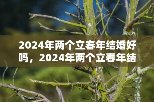 2024年两个立春年结婚好吗，2024年两个立春年结婚好吗